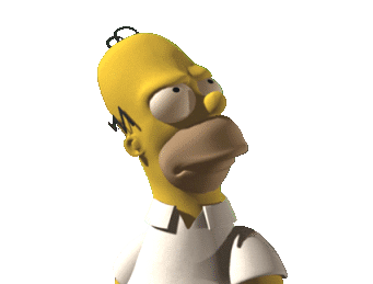 homer3d